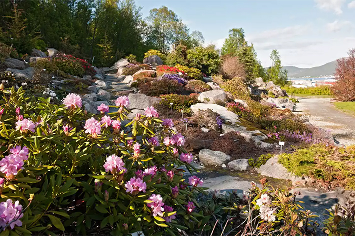 Arctic-Alpine Botanic Garden, Norway