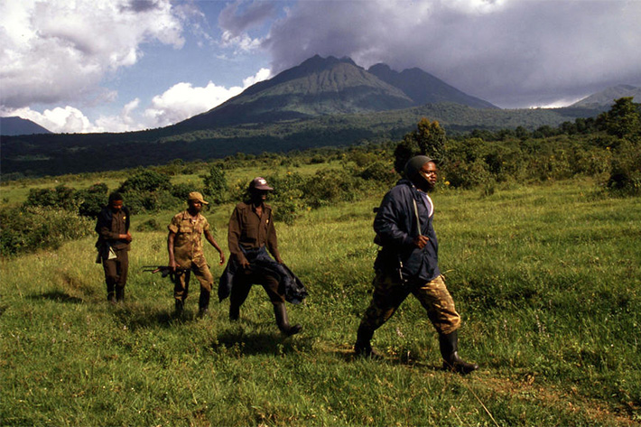 Congo Basin