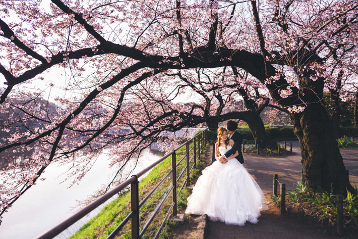 Cherry Blossom Wedding Shoot