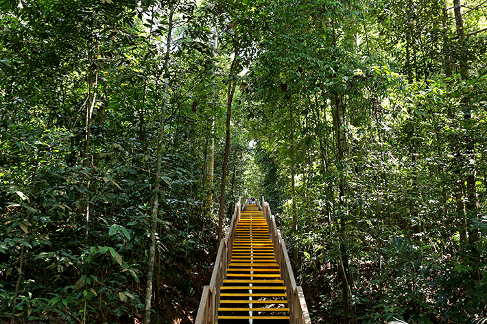 macritchie-singapore