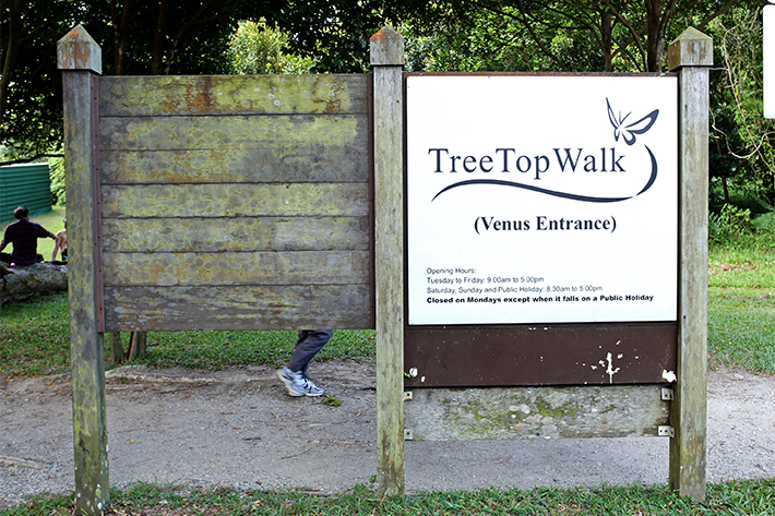 treetop-walk-venus-entrance