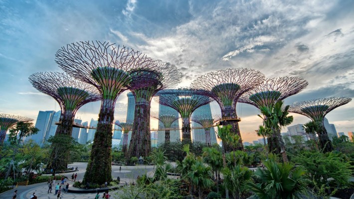 Gardens By The Bay