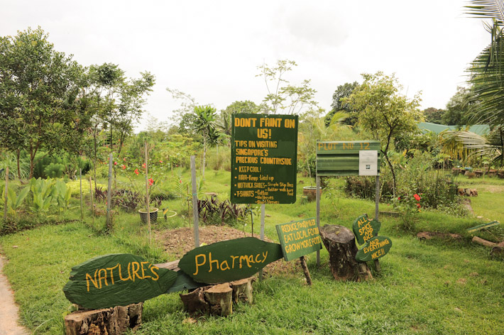 Bollywood-Veggies-Farm