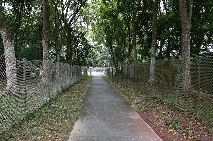 Sembawang Hot Spring Passage