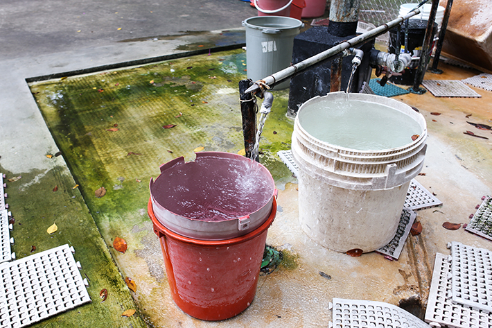 Sembawang Hot Spring Water Collection