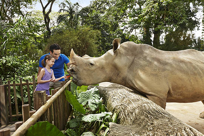 how long to visit singapore zoo
