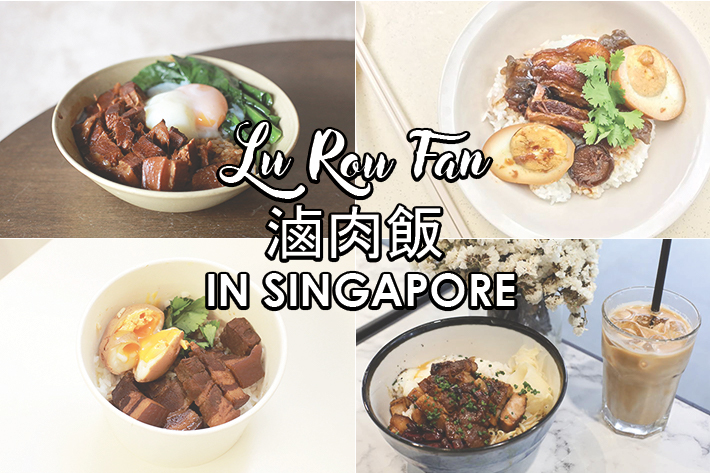 10 Lu Rou Fan In Singapore We Really Lu Rou Ve