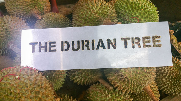 The Durian Tree