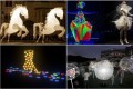 Singapore Night Festival Collage
