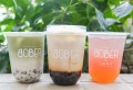 Bober Tea Group Shot